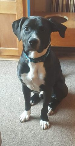 Roscoe