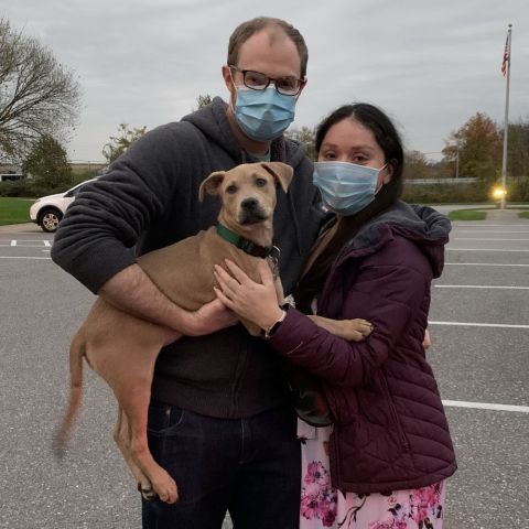 Scarlet is going home!