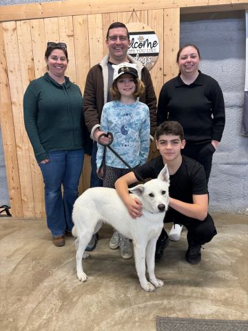 Estrella adopted!