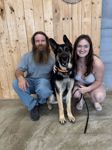 Forest adopted! :)