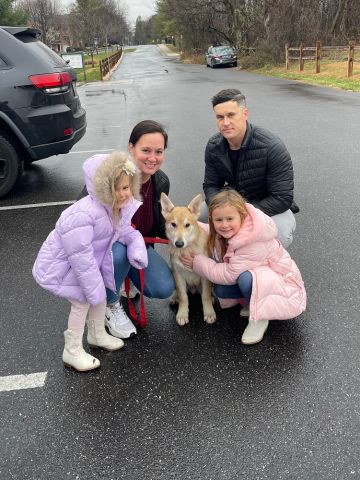 Heinrich adopted! :) Heinrich adopted! :)