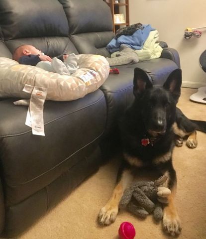 Stark babysitting his little brother