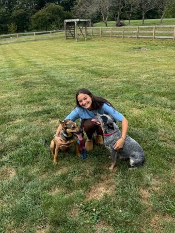 Lucie adopted! :)