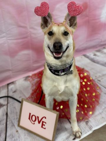 Molly, the love bug!