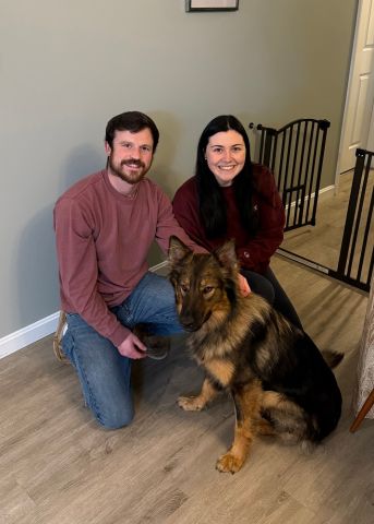 Paddington adopted! :)