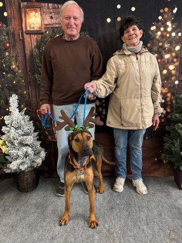 Rico adopted! :)