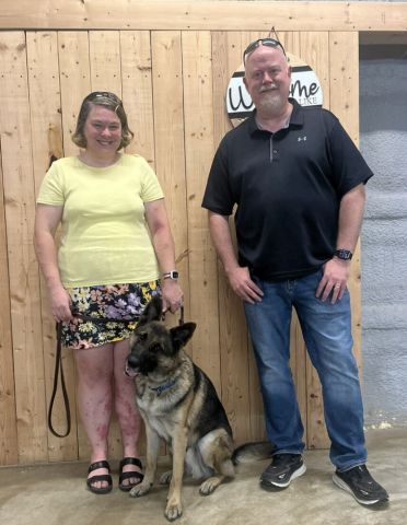 Shep adopted