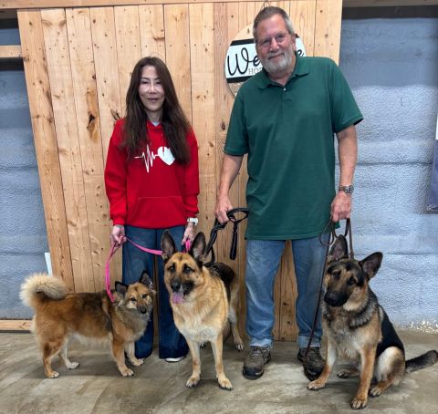 Thunder adopted! :)