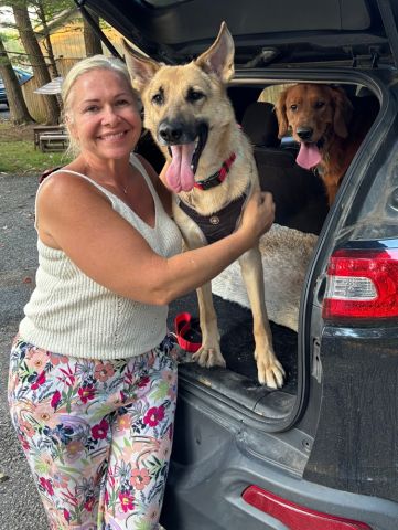 Trigger adopted! :)