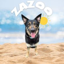 Zazoo loves $5 Friday!