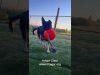 Embedded thumbnail for Cleo Grace-MAGSR-2025