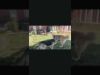 Embedded thumbnail for Chloee-MAGSR-2025