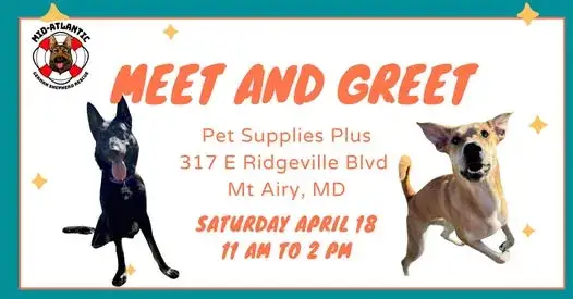 Join us for a Meet 'n Greet