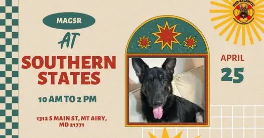 Join us for an Adoption Event!