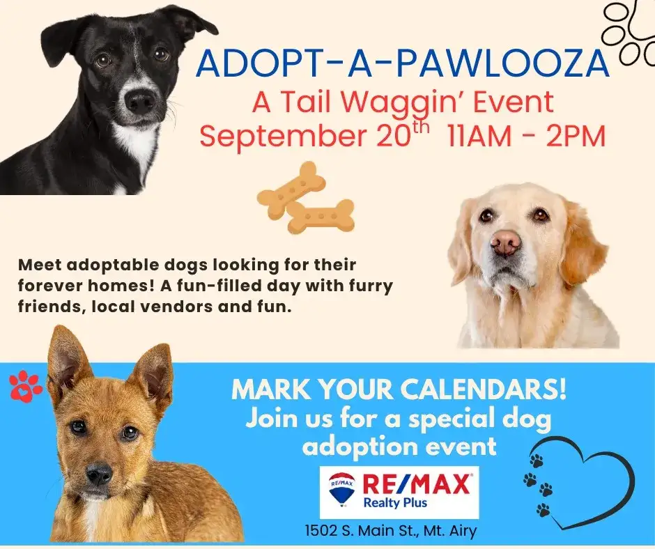 Join MAGSR at Adopt-a-Pawlooza!
