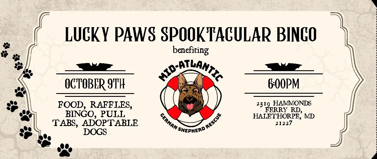 Join MAGSR for Lucky Paws Cash Bingo!