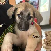 America the Beautiful!