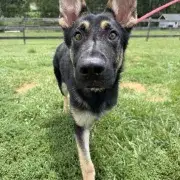 Kaiser