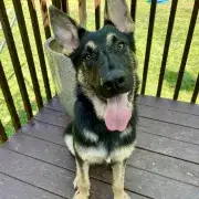 Kaiser