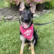Kessa