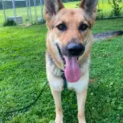 Kona