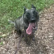 Zoey