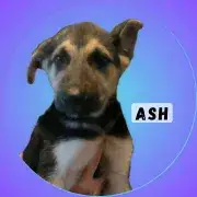 Ash
