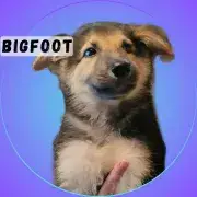 Bigfoot