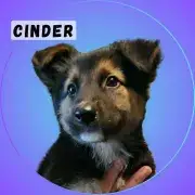 Cinder