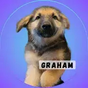 Graham