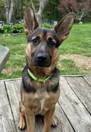 Greta
